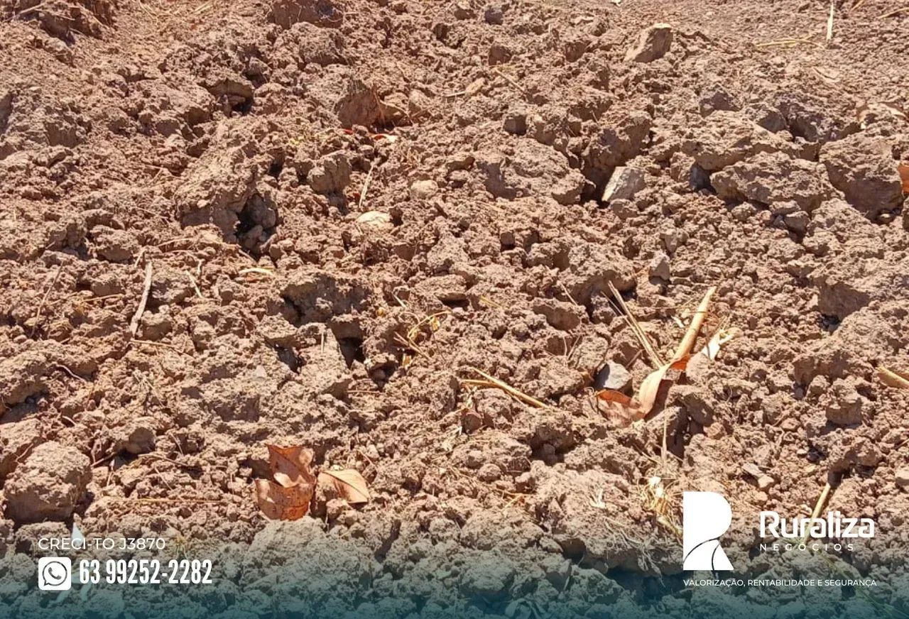 232 ALQUEIRES | 968 HA EM PASTAGENS | 80 DIVISÕES DE PASTO - Foto 2