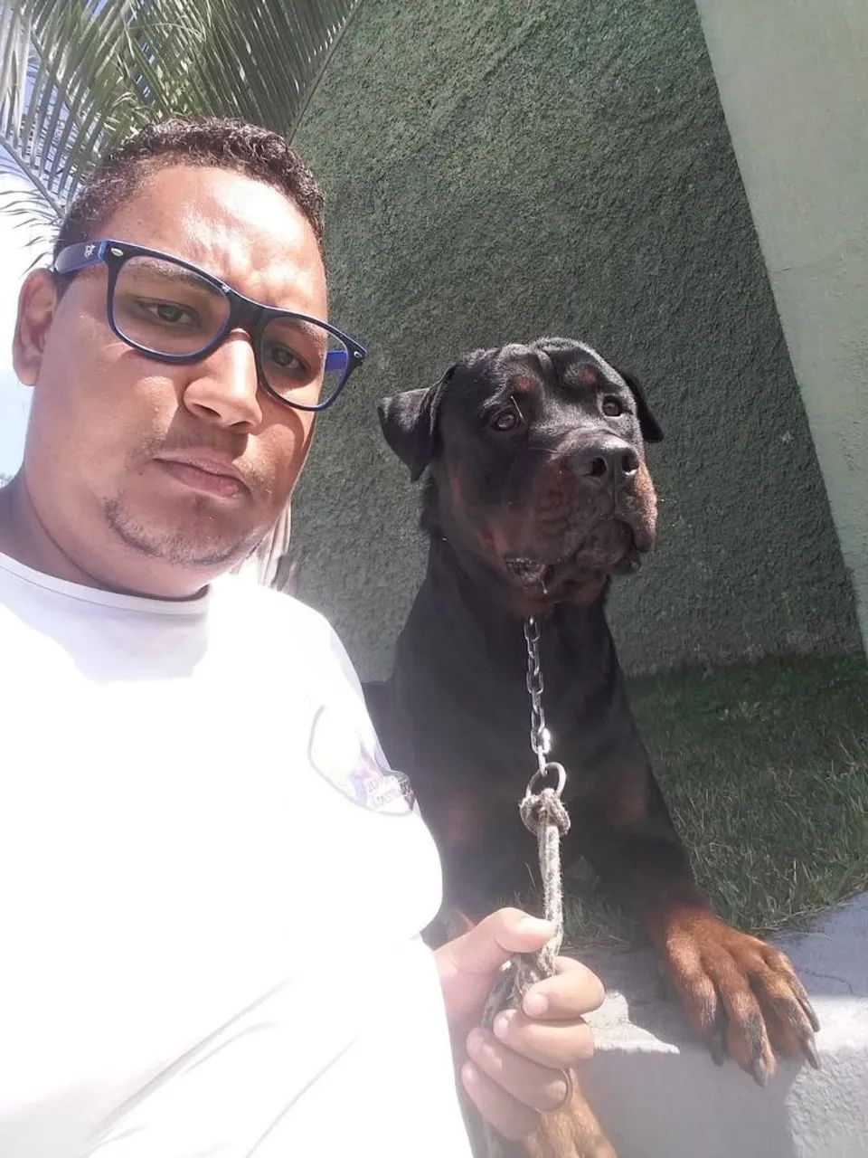 Adestramento de cães  - Foto 5