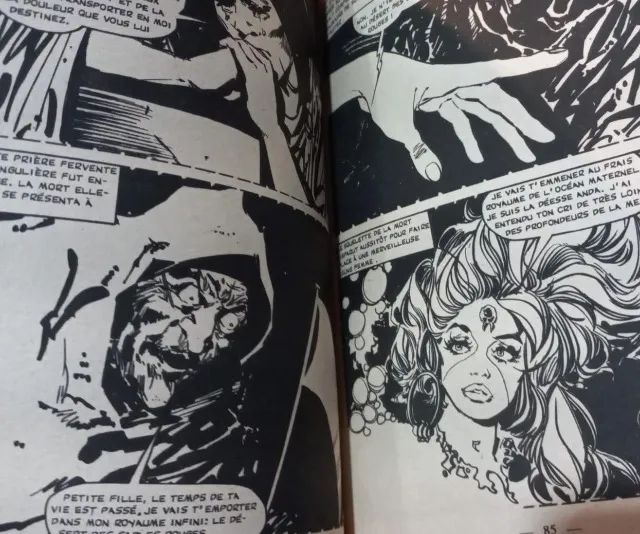 HQ Terror Importada França - Foto 2
