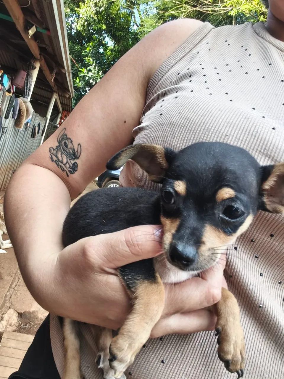 Vende se  - Foto 3