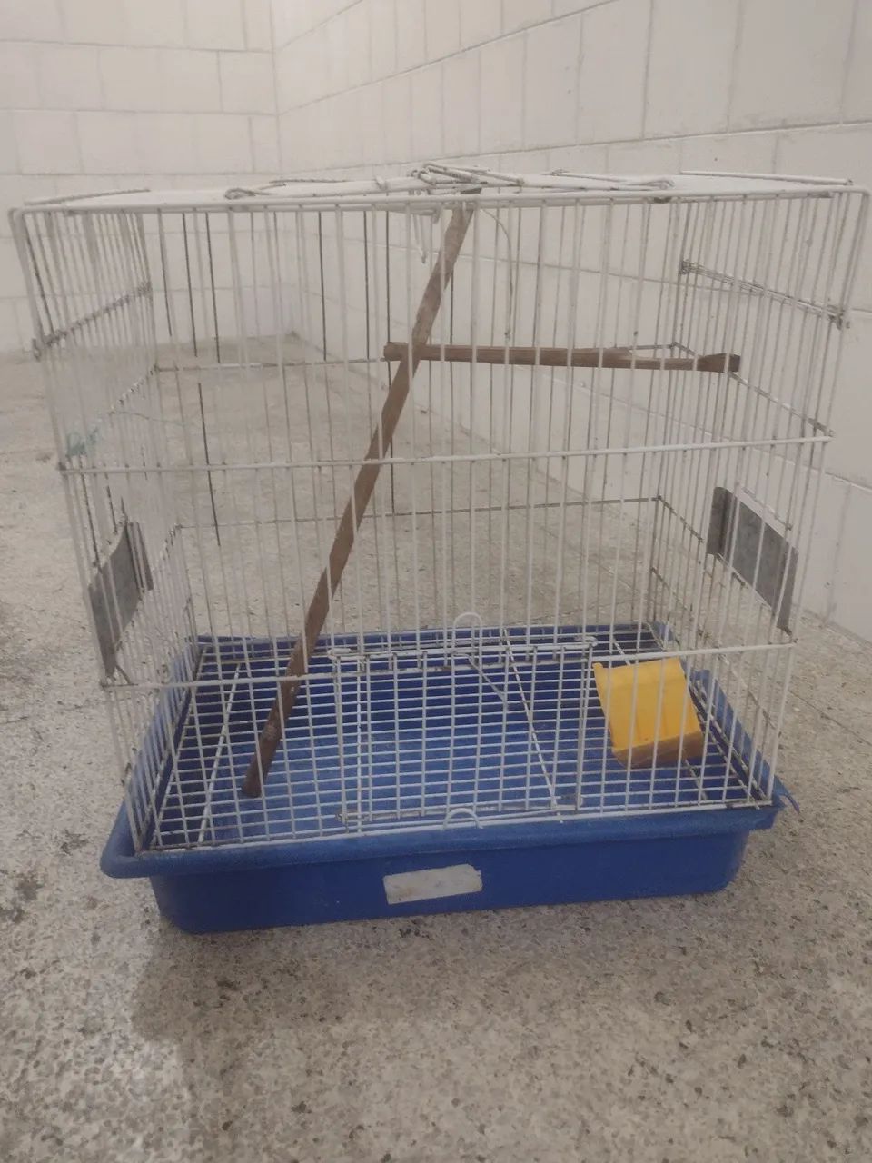 Bird Cage