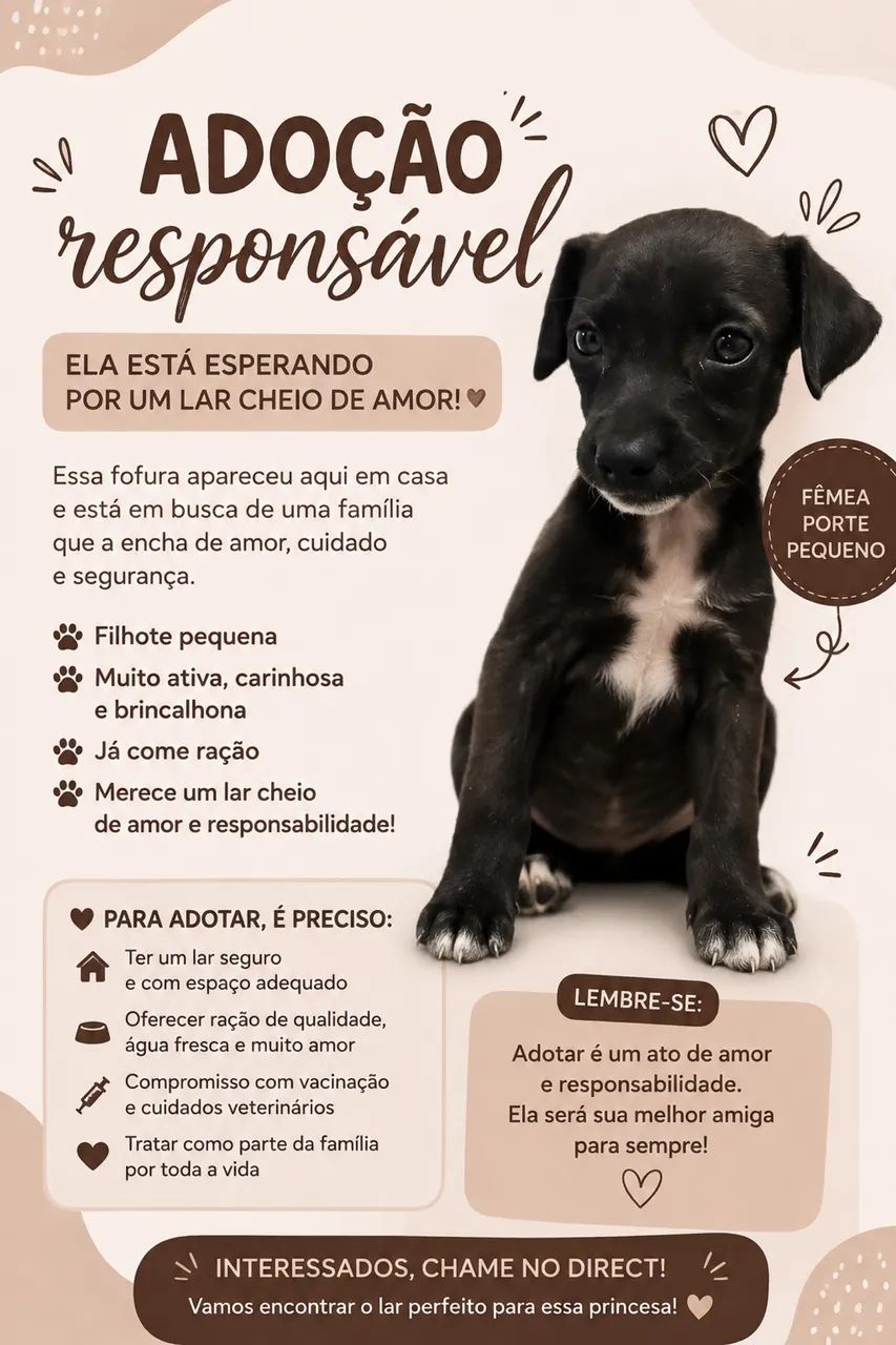 Doação Responsável | Filhote Fêmea