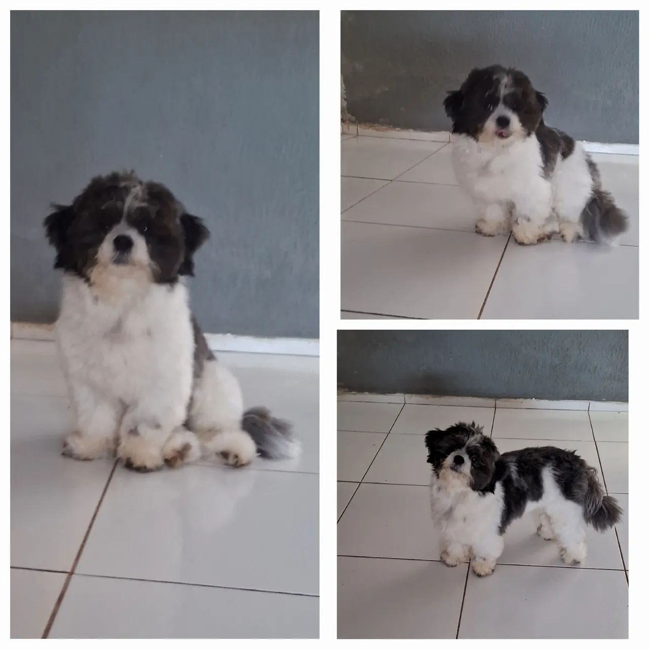 A procura de uma namorada