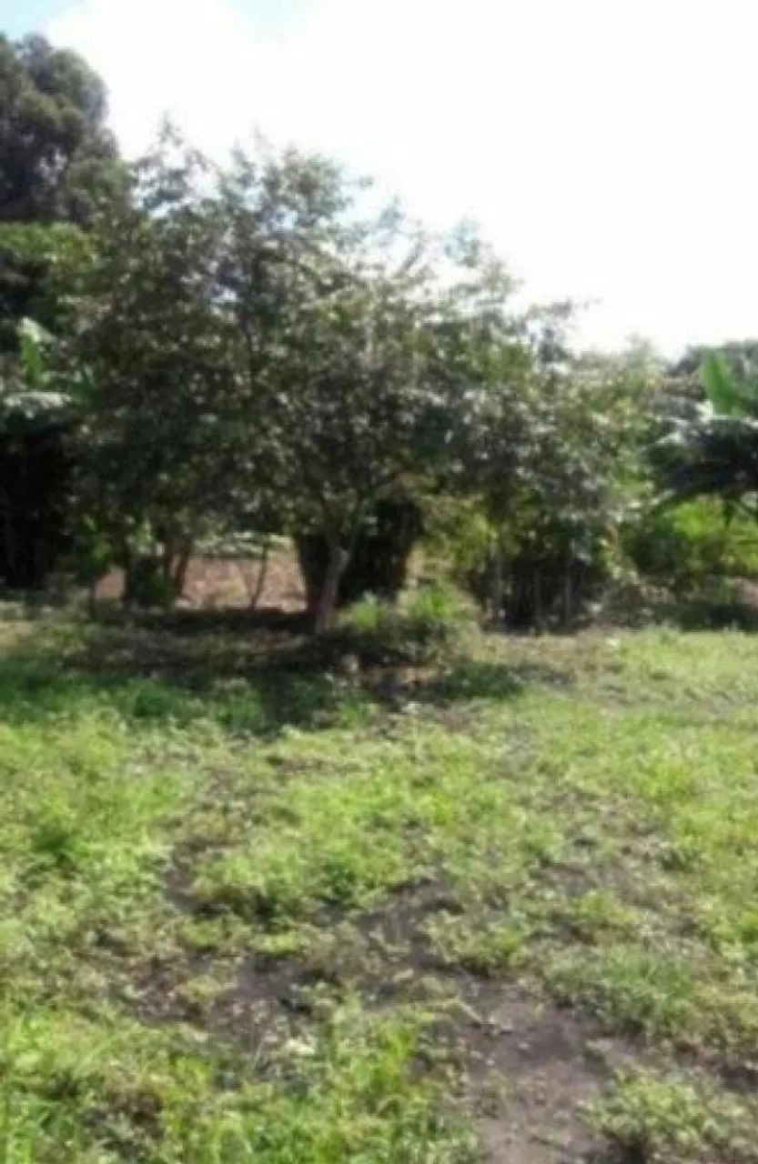 Terreno em Guarulhos - Foto 5
