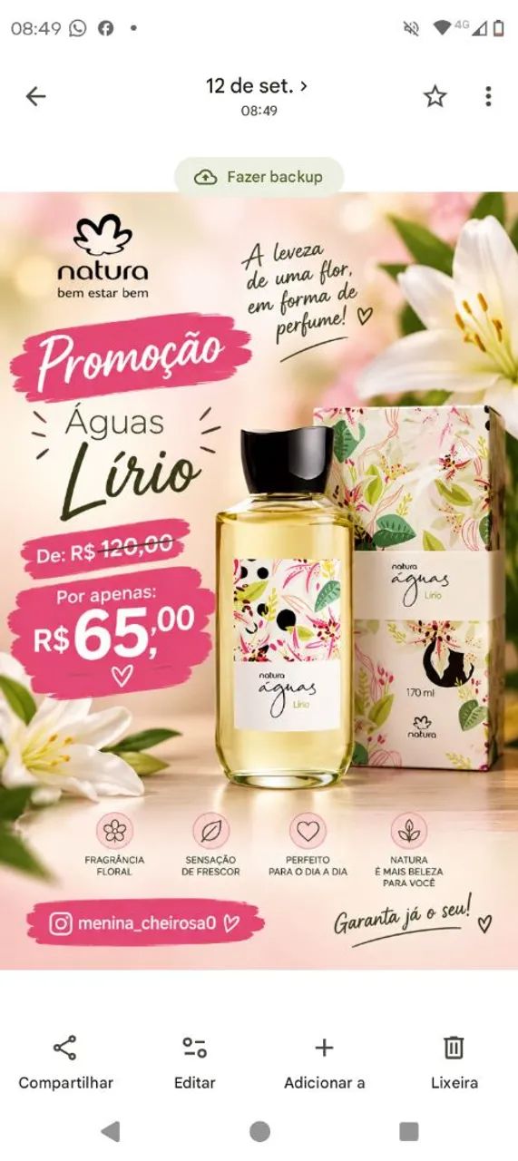Presente águas Lírio, natura.