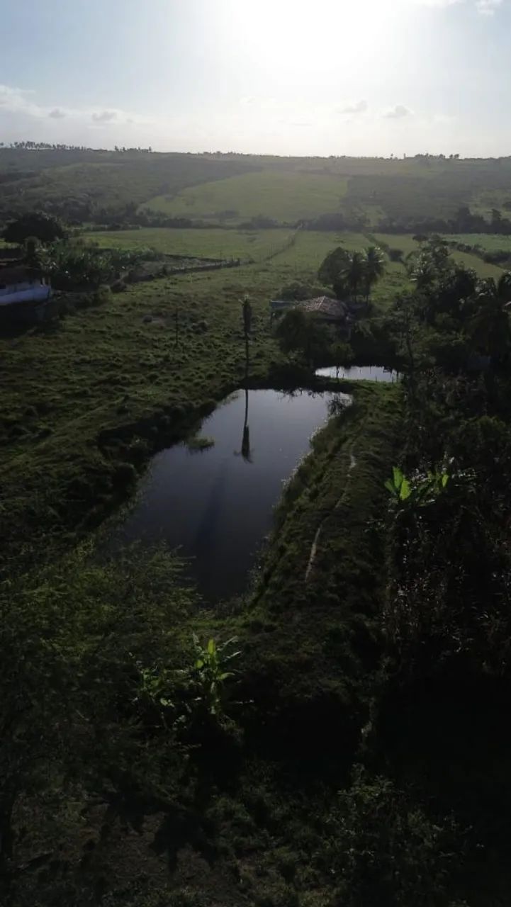 Granja de jadson da pamonha - Foto 3