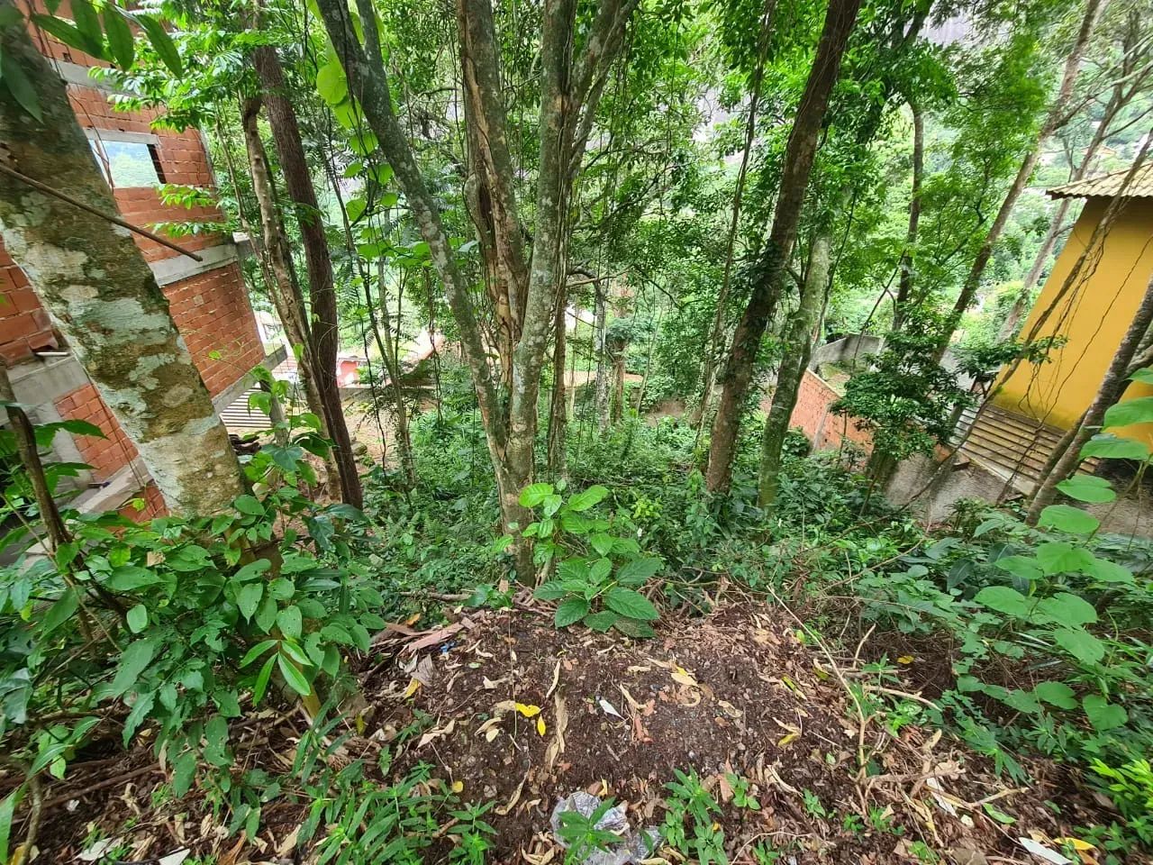 Terreno com 458 m2 - Retiro - Petrópolis, RJ - Foto 4