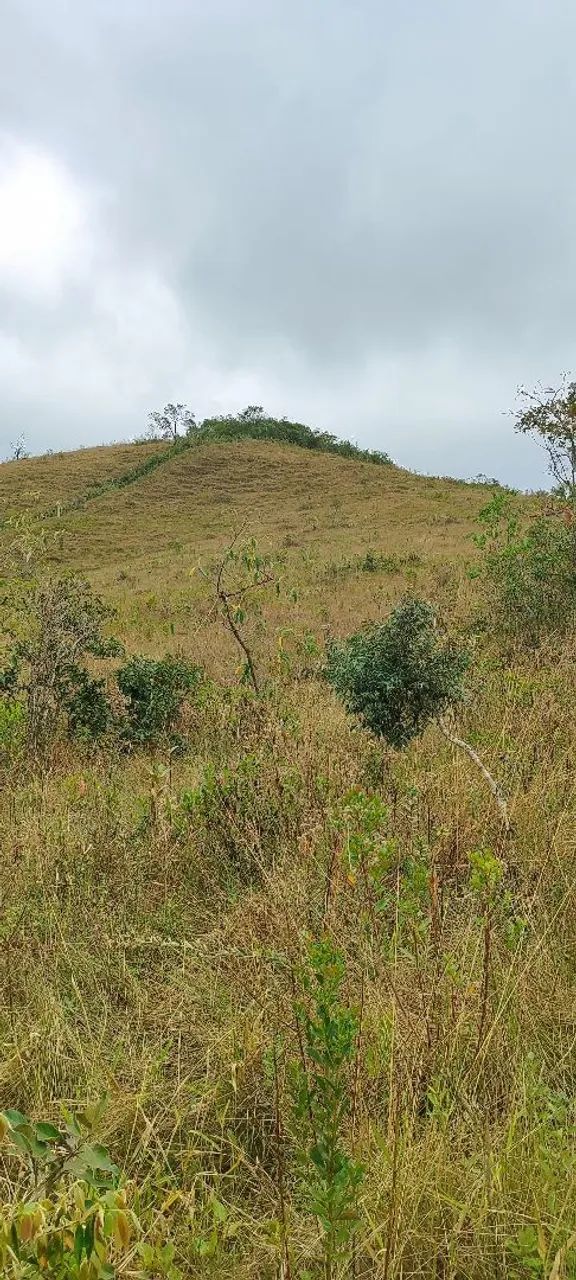 Sítio a venda em Lima Duarte - Foto 3