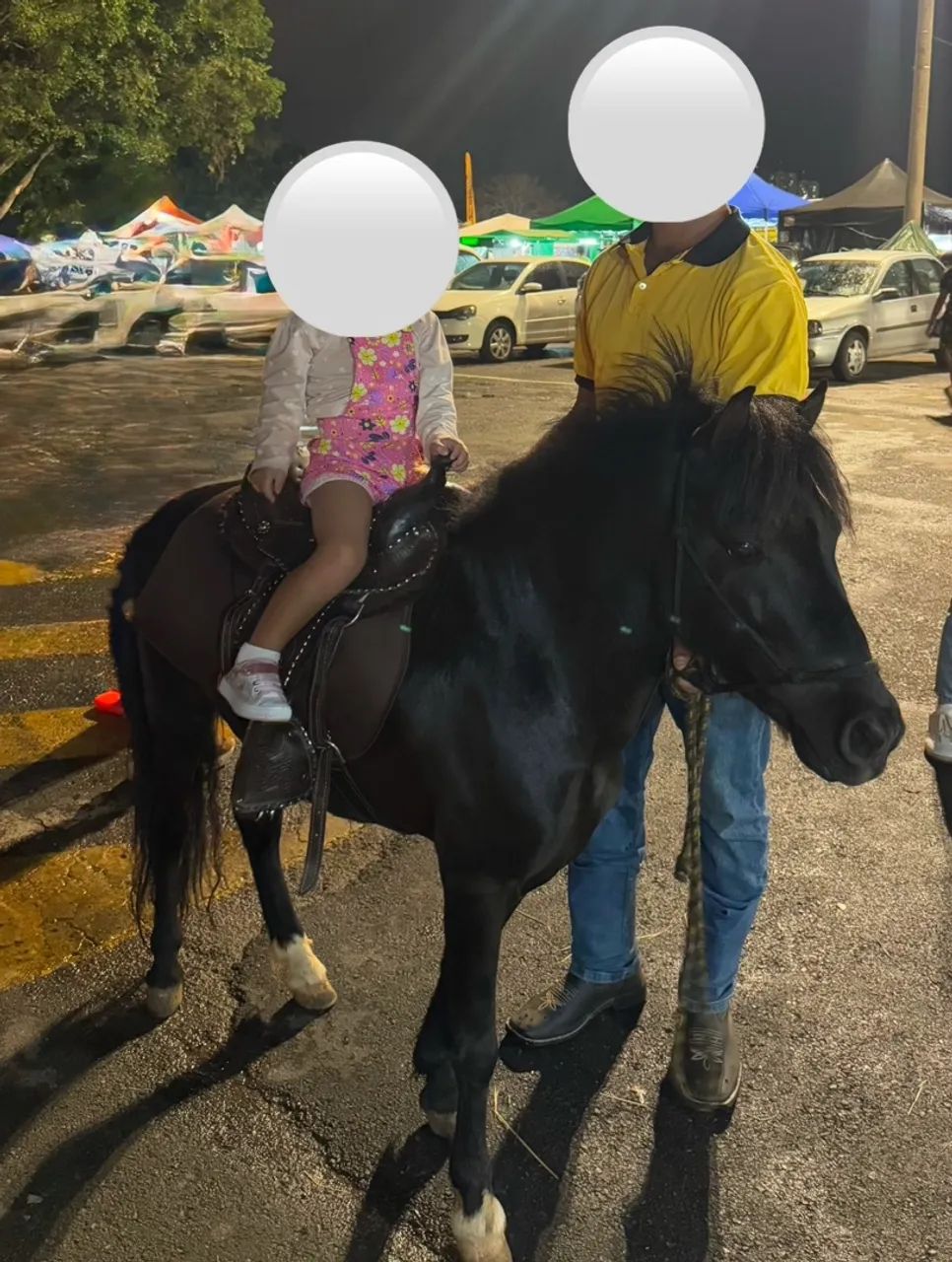 Mini animais para eventos - Foto 4