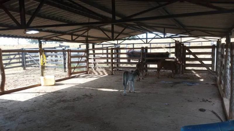 VENDE - SE, CHÁCARA DE 2 ALQUEIRES E 29 LITROS, EM VARJÃO. - Foto 4