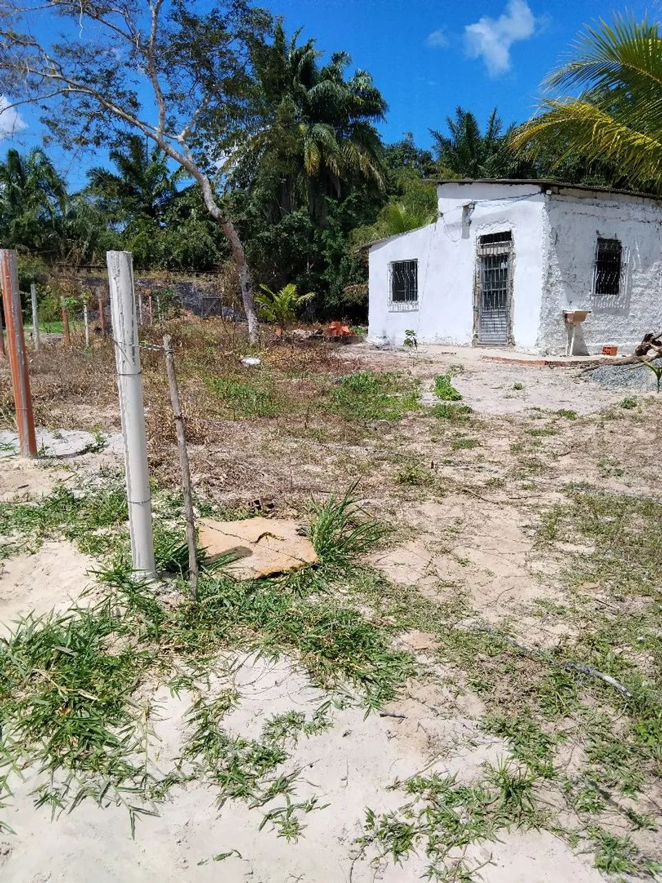 Chacara - Foto 3