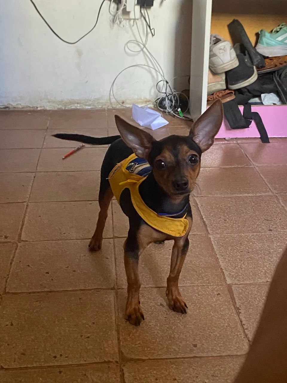 Procuro uma namorada!!! - Foto 2