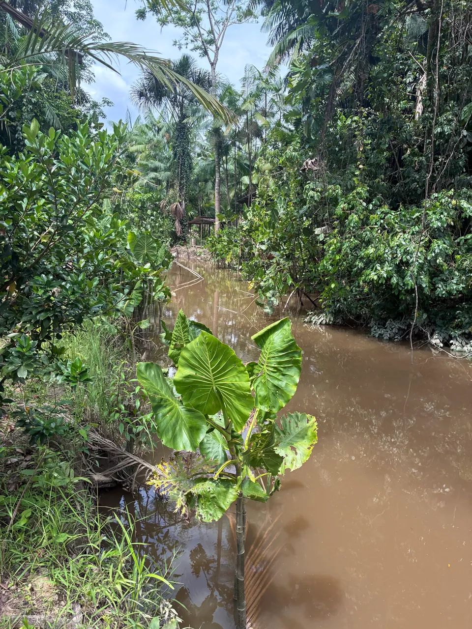 SOMENTE VENDA  - Foto 2