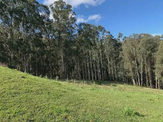 ÁREA RURAL À VENDA - Foto 2