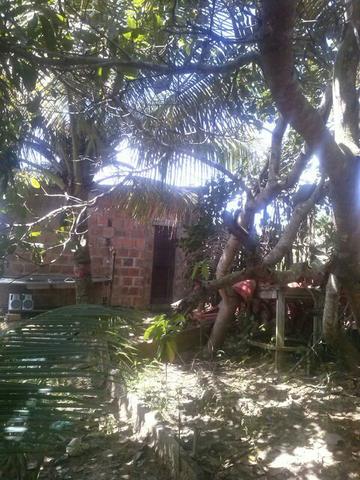 Venda