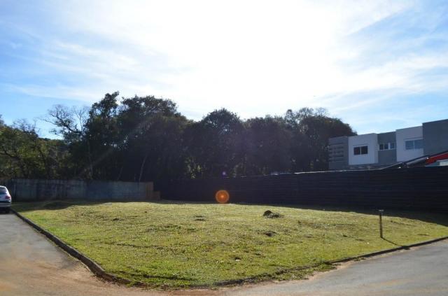 Loteamento/condomínio à venda em Campo comprido, Curitiba cod:TE0011 - Foto 16