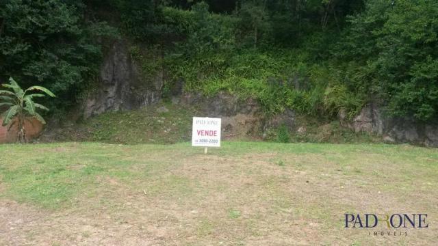 Loteamento/condomínio à venda em Pilarzinho, Curitiba cod:TE0022 - Foto 15
