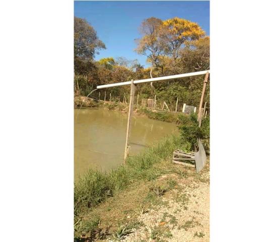 Ocasião,14,95 hectares,porteira fechada,peixes,Novilhas,Santo Antônio-MT
