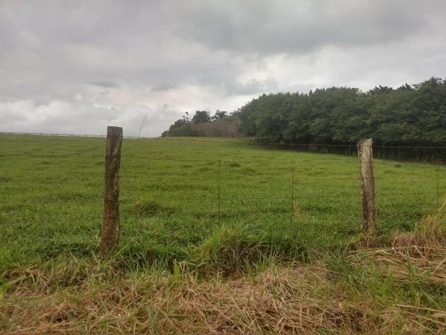 Chácara 20km de Paulínia 1400mts 40mil