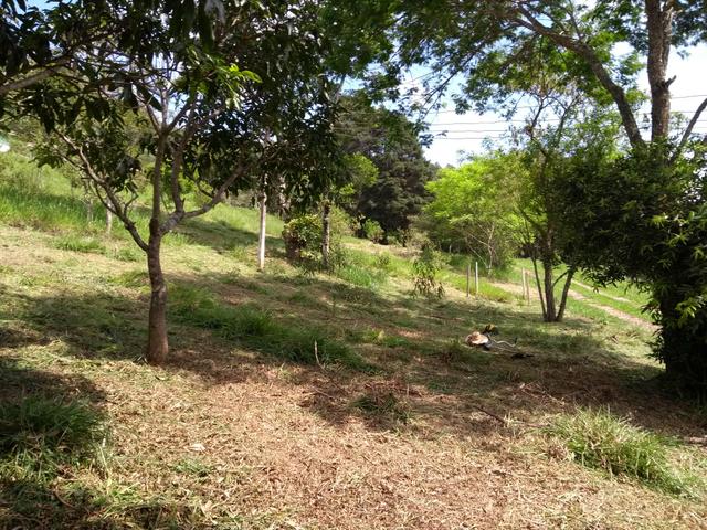 Alugo: Sitio ideal para Comércio ou Moradia em Nazaré Paulista SP - Foto 16