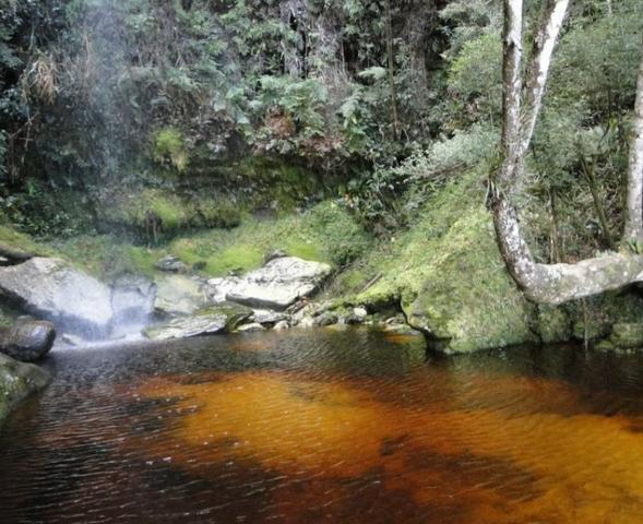 Serra do Funil - Casa a Venda - 21 Cachoeiras - Foto 14