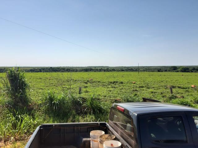 Fazenda de 154 alqueires