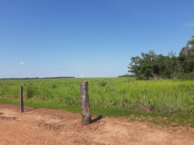Fazenda de 154 alqueires - Foto 10