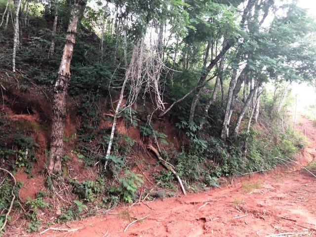 Terreno em condomínio - Foto 2