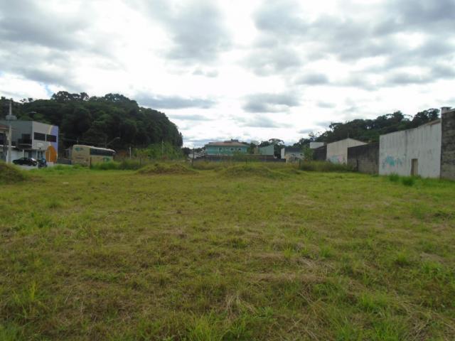 Terreno para alugar em Santa catarina, Joinville cod:08122.001 - Foto 3