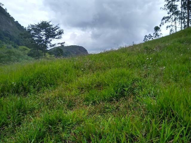 Sitio Viana 2 herquitares