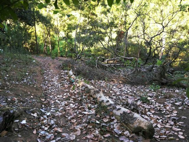 Vendo ou Troco chácara em Serra Dourada II por Sítio - Foto 20