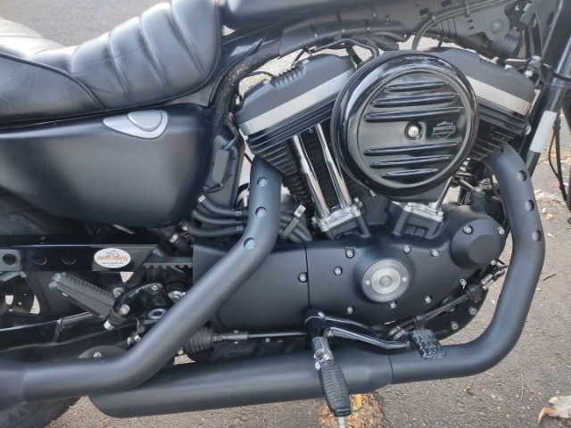 HARLEY DAVIDSON XL 883 N 2017