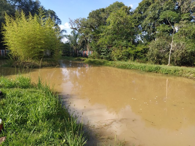 Chácara da lu  - Foto 5