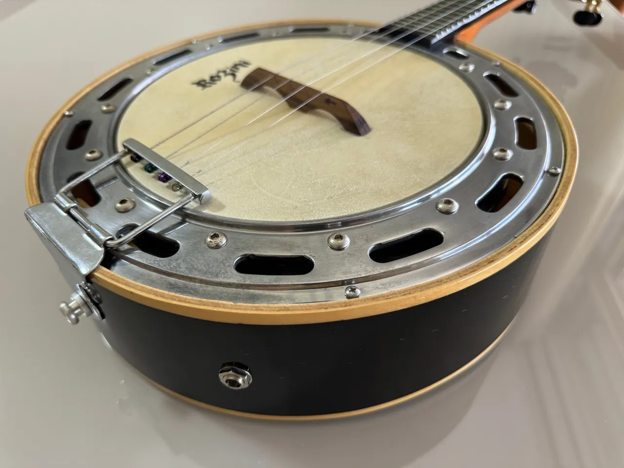 Banjo Rozini - Profissional (Color Black RJ11)