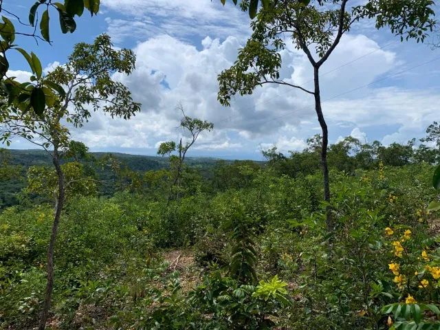 Terreno rural 2,3ha com rio nos fundos Jaboticatubas. - Foto 2