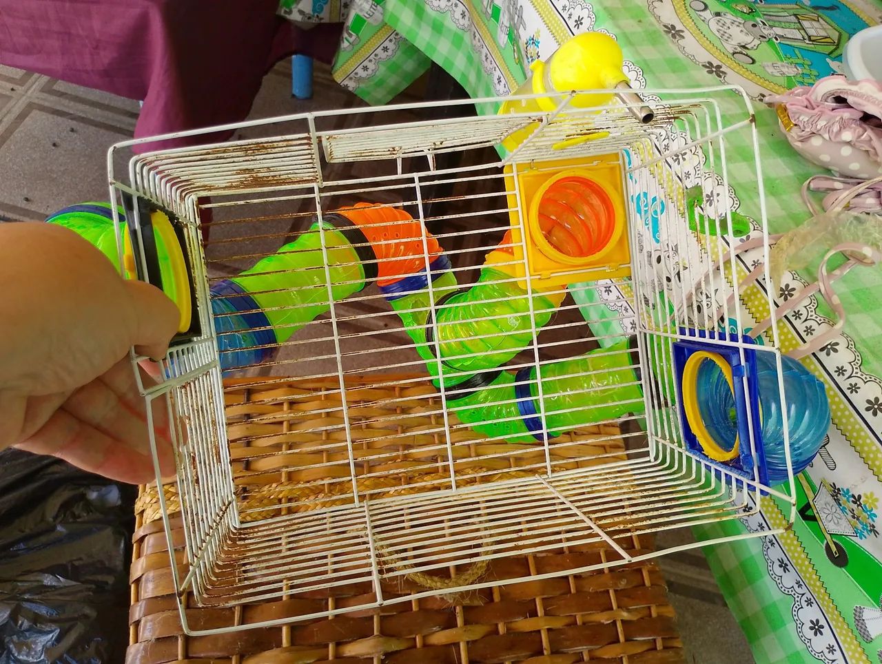 Gaiola para ramister 