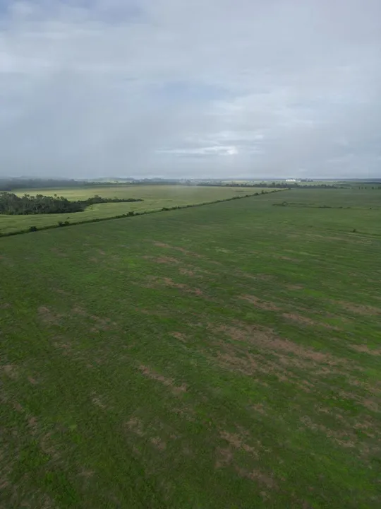 Fazenda 968 hect, em novo progresso PA. Beira da Rod.163 km1.000 R$:35 milhões