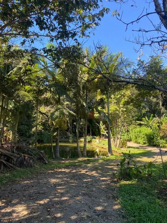 Chácara / Sítio 2000m2, Santo Amaro da Imperatriz 800m do alfalto - Vendo ou troco - Foto 11