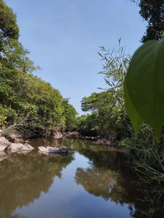 Chácara 3 alqueires (rio do peixe) - Foto 5