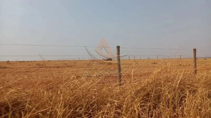Fazenda - Prata - Zona Rural - Foto 3