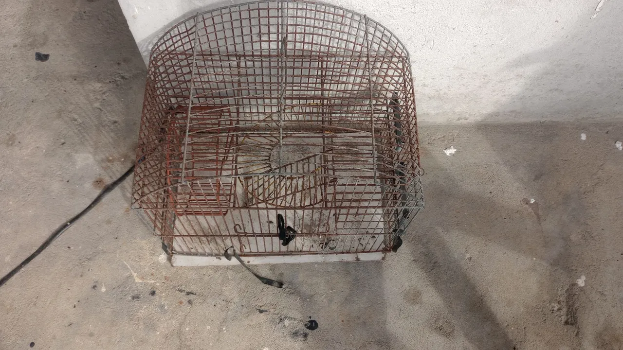 Gaiola de metal antiga c marcas de ferrugem
