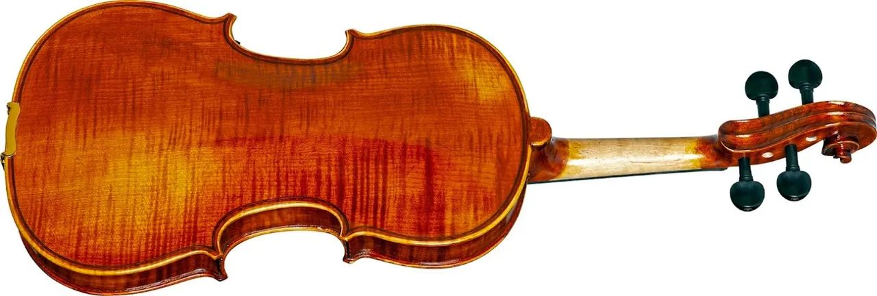 VIOLINO EAGLE 4/4 VK544  - Foto 2