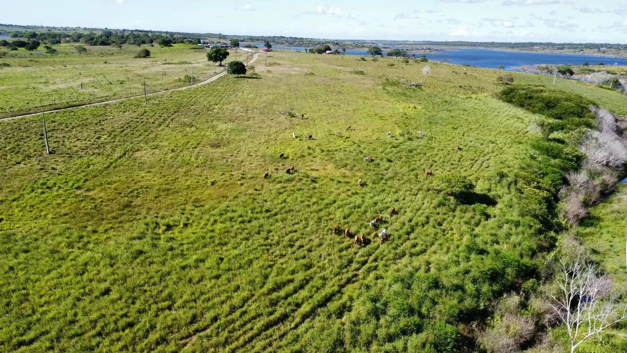 fazenda com 150 hectares entre Macaiba e vera cruz um Luxo de fazenda - Foto 2