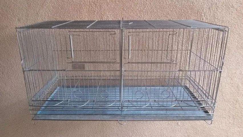 Gaiola Voadeira/Criadeira - Foto 2