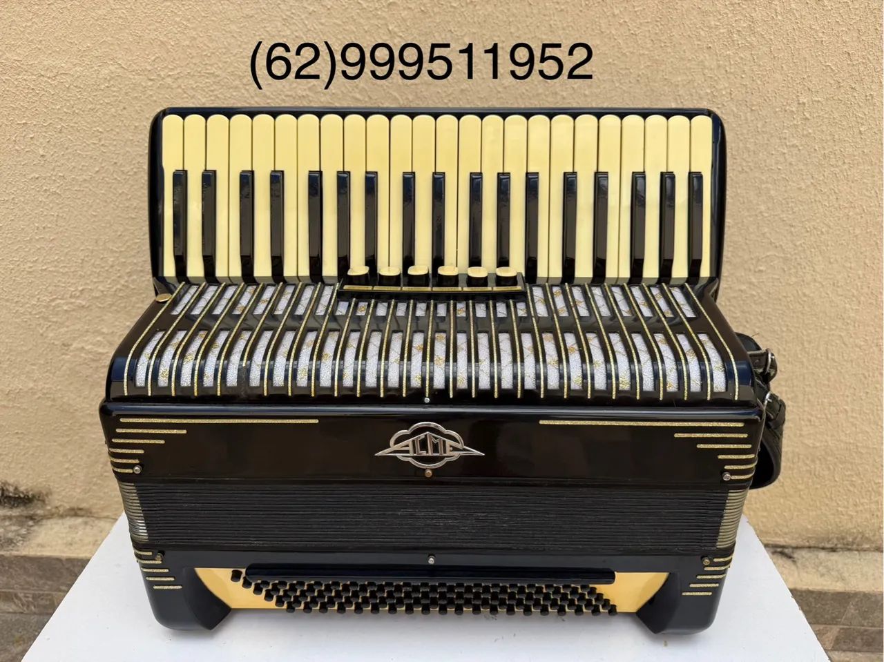 Acordeon Sanfona ACMETTE 120 baixos em 4/5 oitavada com desmanche lateral 