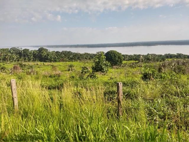 OPORTUNIDADE!!      FAZENDA - MARABÁ/PA - 45 Alqueires - Foto 3