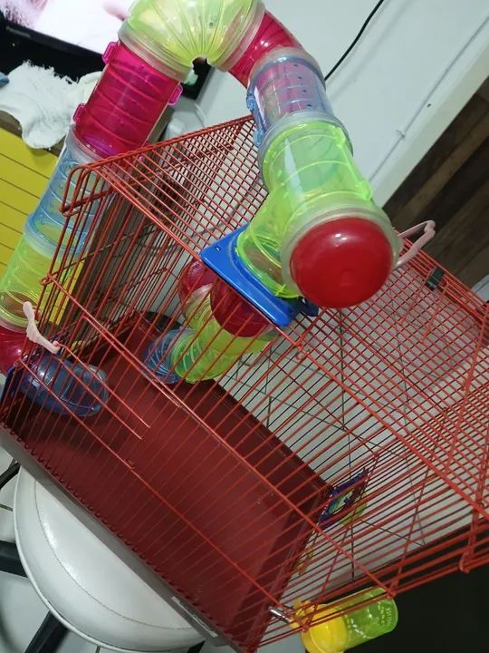 Gaiola para Roedor ? - Foto 4