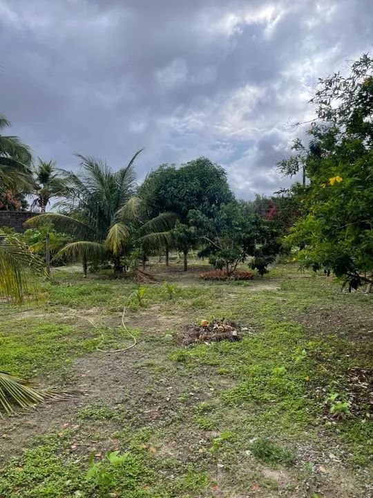 Excelente terreno, na Av. Itapiracó, frente 22,5m, lateral 45m, 1.012,5 m²