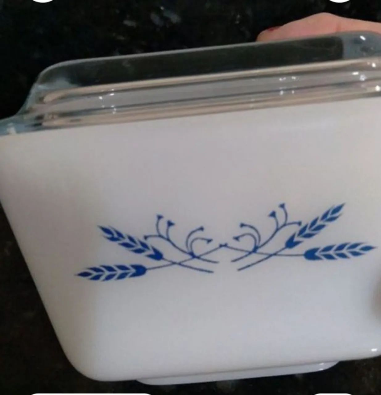 Manteigueira Colorex  - Foto 5