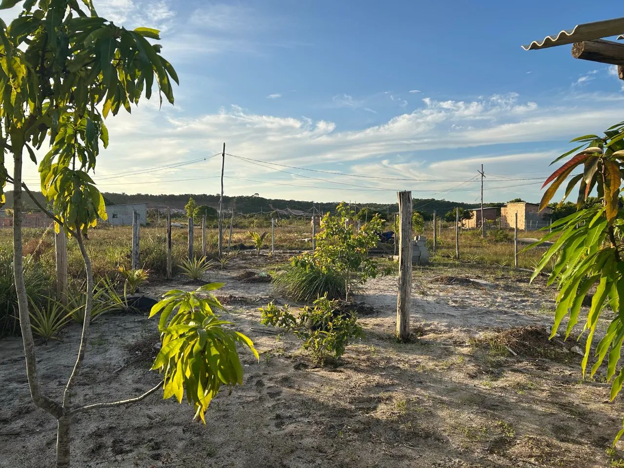 Terreno na praia do multa 10x40 26 mil  - Foto 3